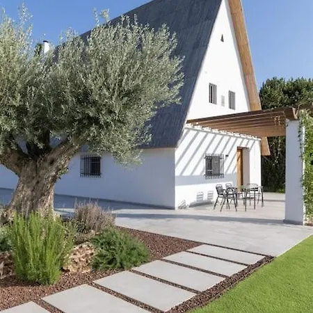 La Barraca - Modern Tradition